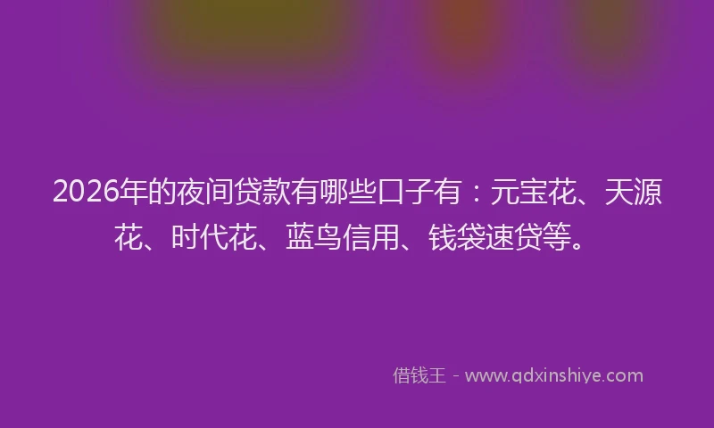 2026年的夜间贷款有哪些口子有:元宝花、天源花、时代花、蓝鸟信用、钱袋速贷等。