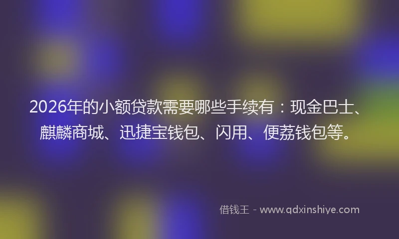 2026年的小额贷款需要哪些手续有：现金巴士、麒麟商城、迅捷宝钱包、闪用、便荔钱包等。