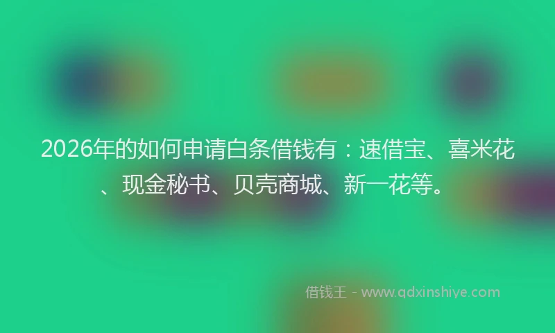 2026年的如何申请白条借钱有：速借宝、喜米花、现金秘书、贝壳商城、新一花等。