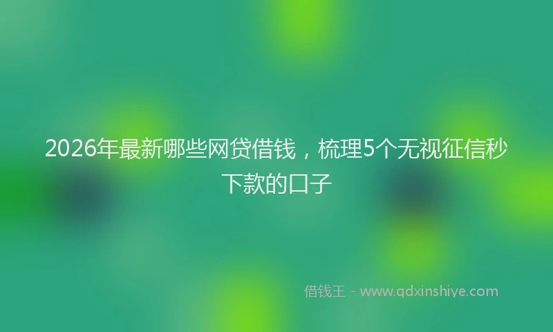 2026年最新哪些网贷借钱，梳理5个无视征信秒下款的口子