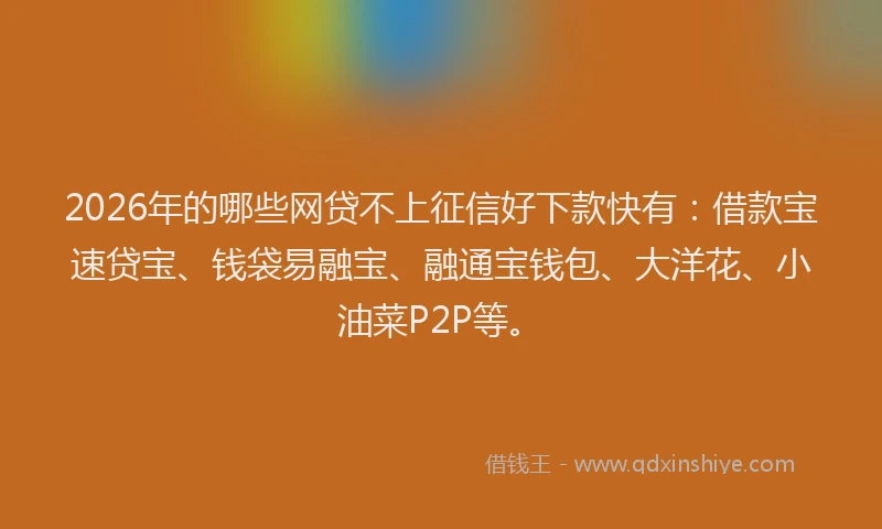 2026年的哪些网贷不上征信好下款快有：借款宝速贷宝、钱袋易融宝、融通宝钱包、大洋花、小油菜P2P等。