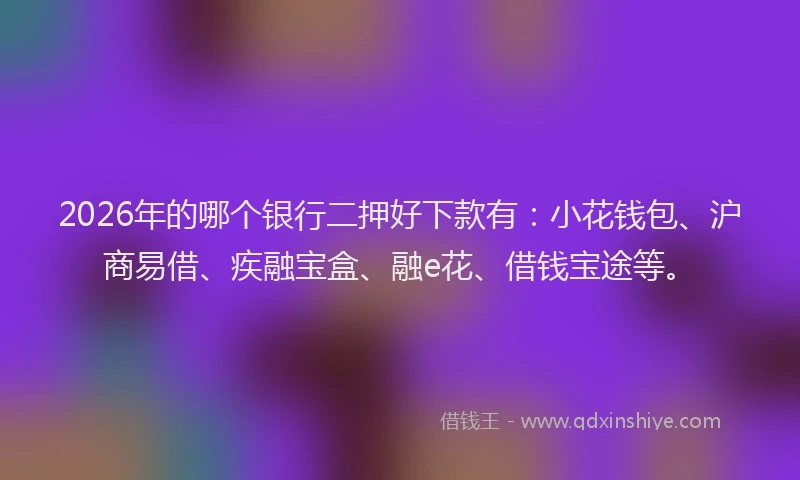 2026年的哪个银行二押好下款有：小花钱包、沪商易借、疾融宝盒、融e花、借钱宝途等。