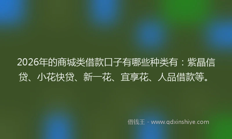 2026年的商城类借款口子有哪些种类有:紫晶信贷、小花快贷、新一花、宜享花、人品借款等。