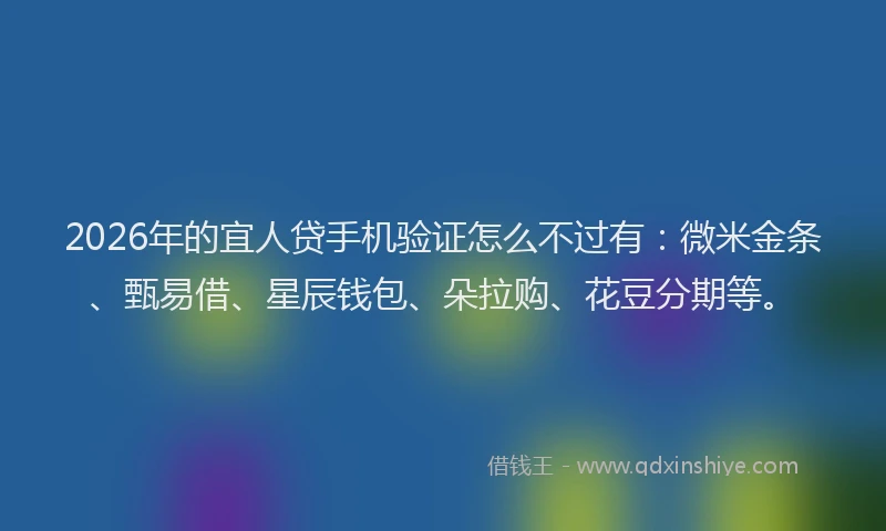 2026年的宜人贷手机验证怎么不过有：微米金条、甄易借、星辰钱包、朵拉购、花豆分期等。