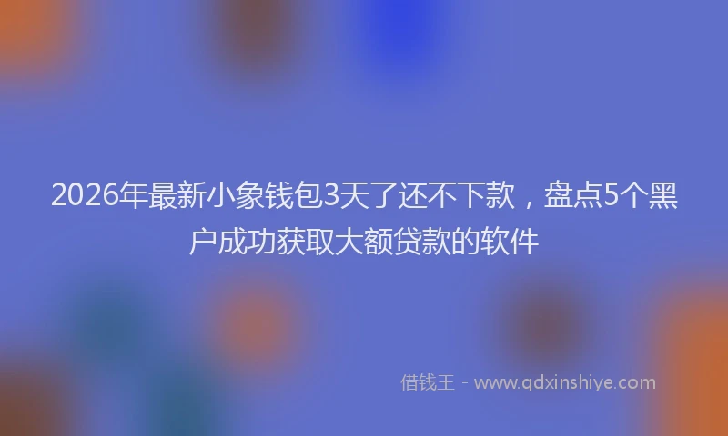 2026年最新小象钱包3天了还不下款，盘点5个黑户成功获取大额贷款的软件