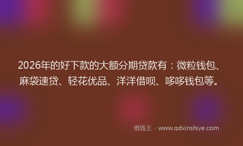 2026年的好下款的大额分期贷款有：微粒钱包、麻袋速贷、轻花优品、洋洋借呗、哆哆钱包等。