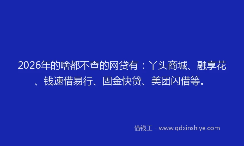 2026年的啥都不查的网贷有：丫头商城、融享花、钱速借易行、固金快贷、美团闪借等。
