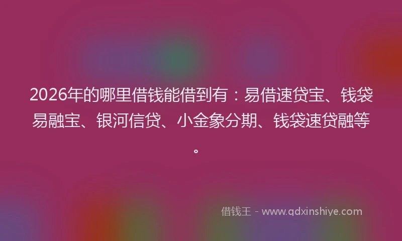 2026年的哪里借钱能借到有:易借速贷宝、钱袋易融宝、银河信贷、小金象分期、钱袋速贷融等。