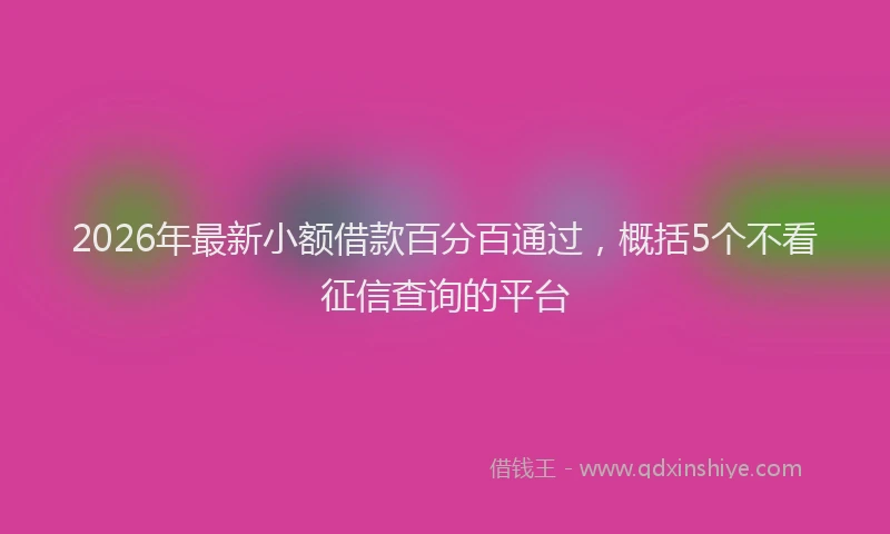 2026年最新小额借款百分百通过，概括5个不看征信查询的平台