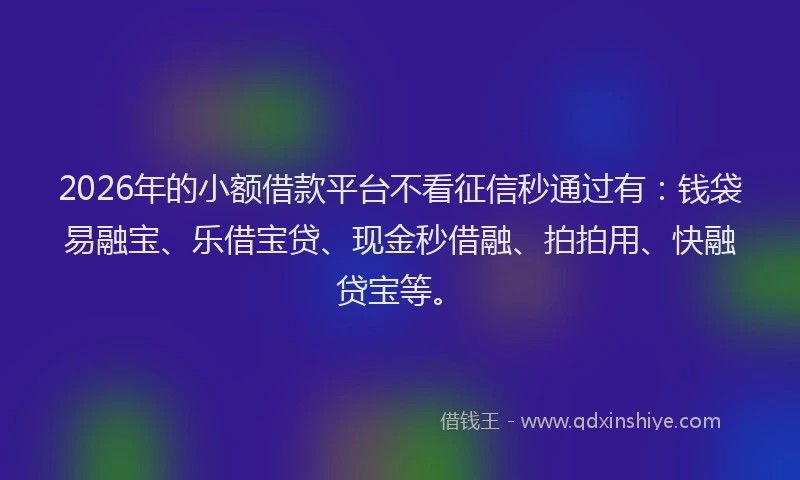 2026年的小额借款平台不看征信秒通过有：钱袋易融宝、乐借宝贷、现金秒借融、拍拍用、快融贷宝等。