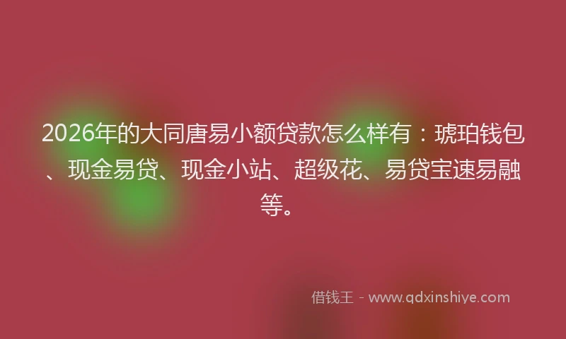 2026年的大同唐易小额贷款怎么样有：琥珀钱包、现金易贷、现金小站、超级花、易贷宝速易融等。