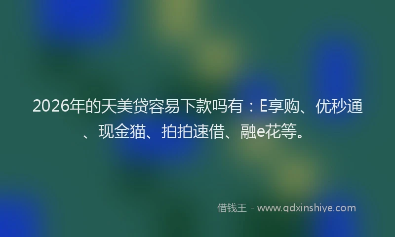 2026年的天美贷容易下款吗有：E享购、优秒通、现金猫、拍拍速借、融e花等。