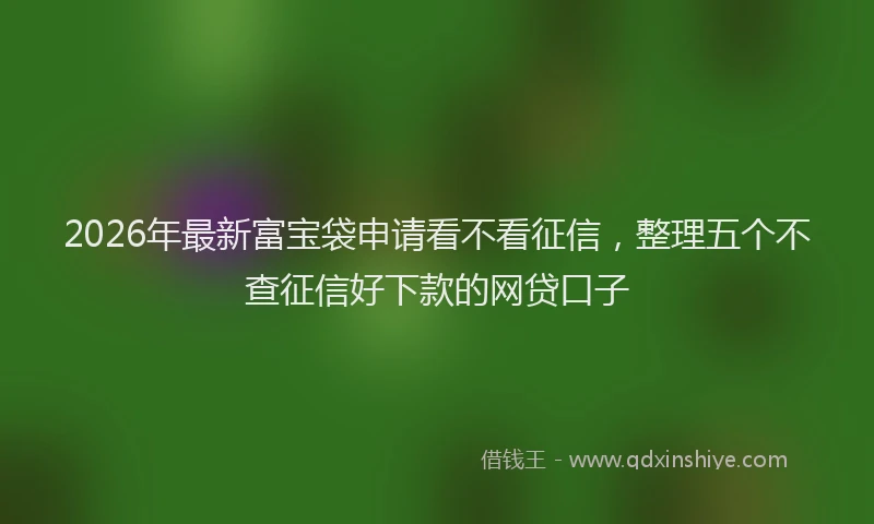 2026年最新富宝袋申请看不看征信，整理五个不查征信好下款的网贷口子