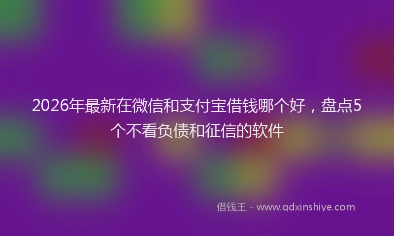 2026年最新在微信和支付宝借钱哪个好，盘点5个不看负债和征信的软件