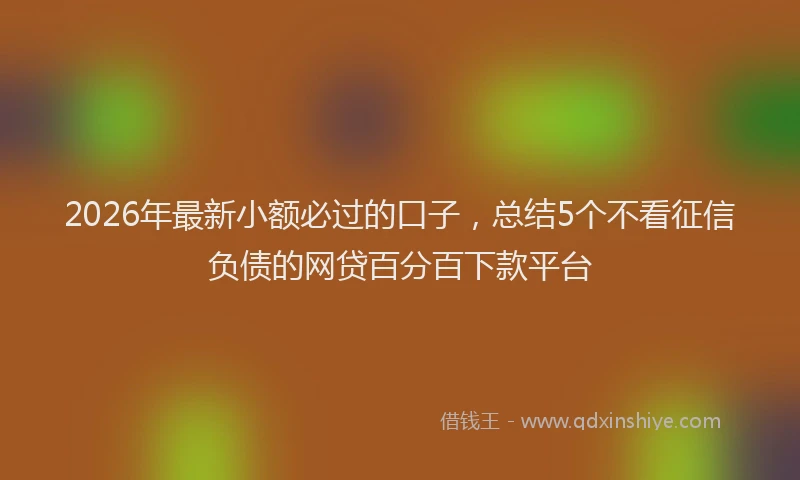 2026年最新小额必过的口子，总结5个不看征信负债的网贷百分百下款平台