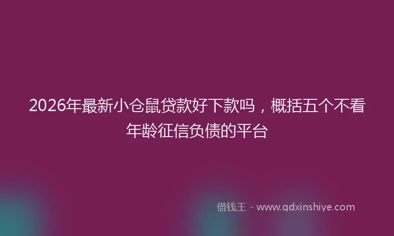 2026年最新小仓鼠贷款好下款吗，概括五个不看年龄征信负债的平台