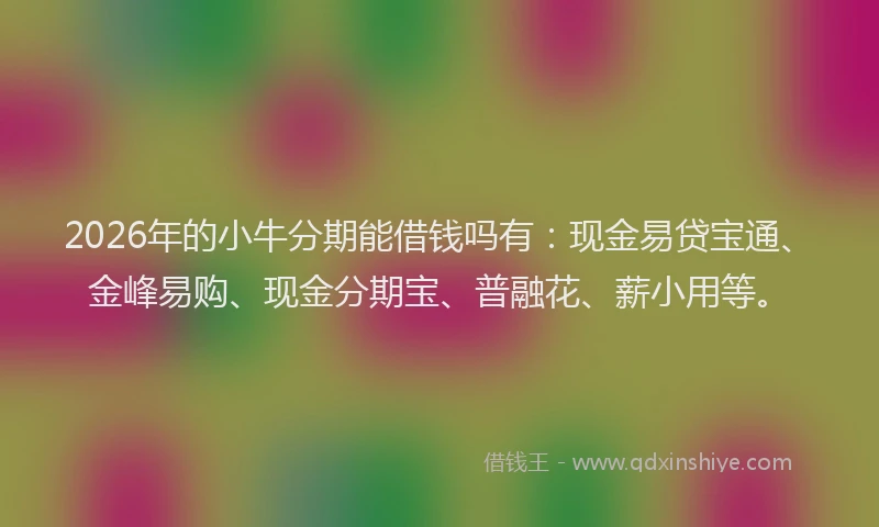 2026年的小牛分期能借钱吗有：现金易贷宝通、金峰易购、现金分期宝、普融花、薪小用等。