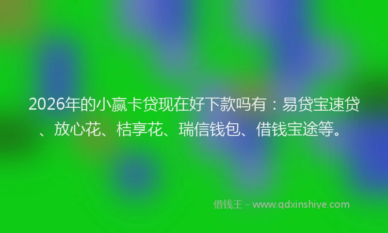 2026年的小赢卡贷现在好下款吗有：易贷宝速贷、放心花、桔享花、瑞信钱包、借钱宝途等。
