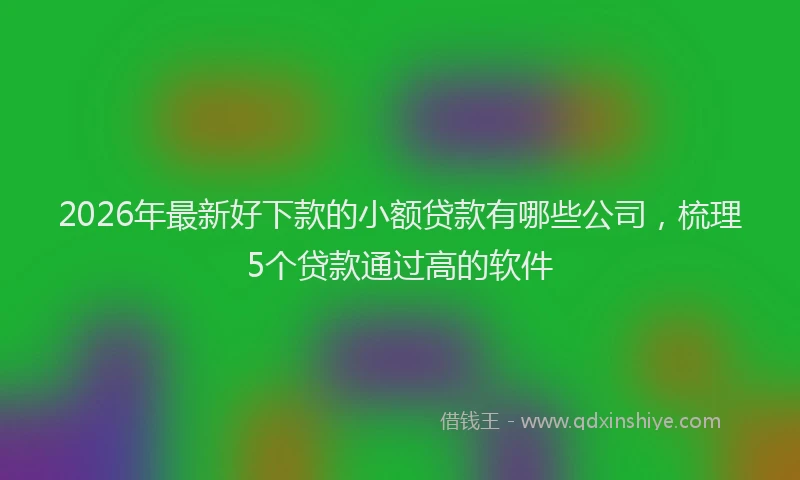 2026年最新好下款的小额贷款有哪些公司，梳理5个贷款通过高的软件