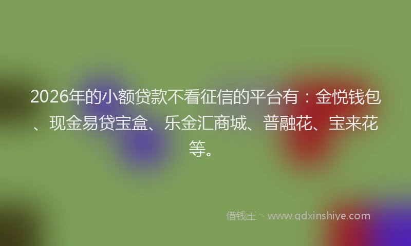 2026年的小额贷款不看征信的平台有：金悦钱包、现金易贷宝盒、乐金汇商城、普融花、宝来花等。