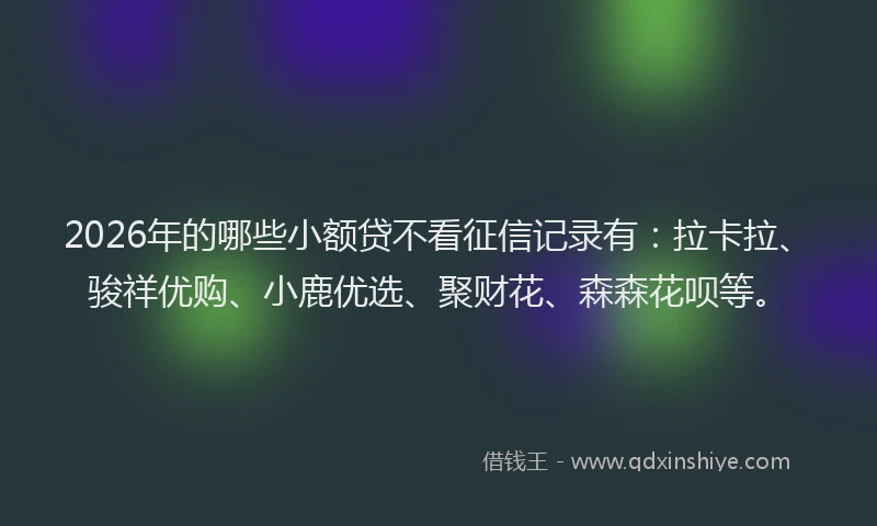 2026年的哪些小额贷不看征信记录有：拉卡拉、骏祥优购、小鹿优选、聚财花、森森花呗等。