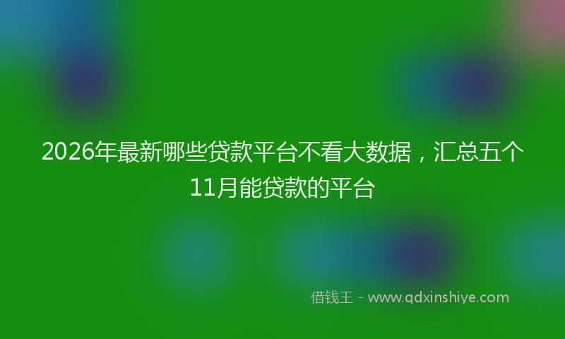 2026年最新哪些贷款平台不看大数据，汇总五个11月能贷款的平台