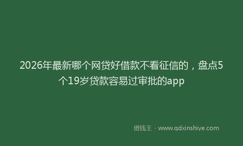 2026年最新哪个网贷好借款不看征信的，盘点5个19岁贷款容易过审批的app