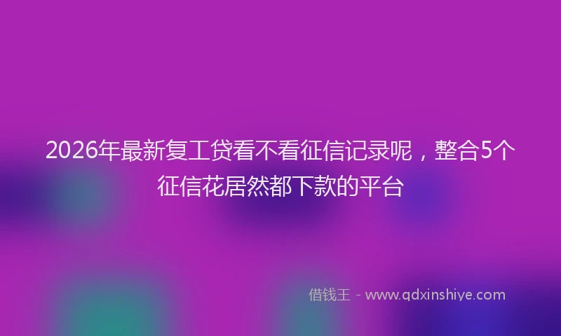 2026年最新复工贷看不看征信记录呢，整合5个征信花居然都下款的平台