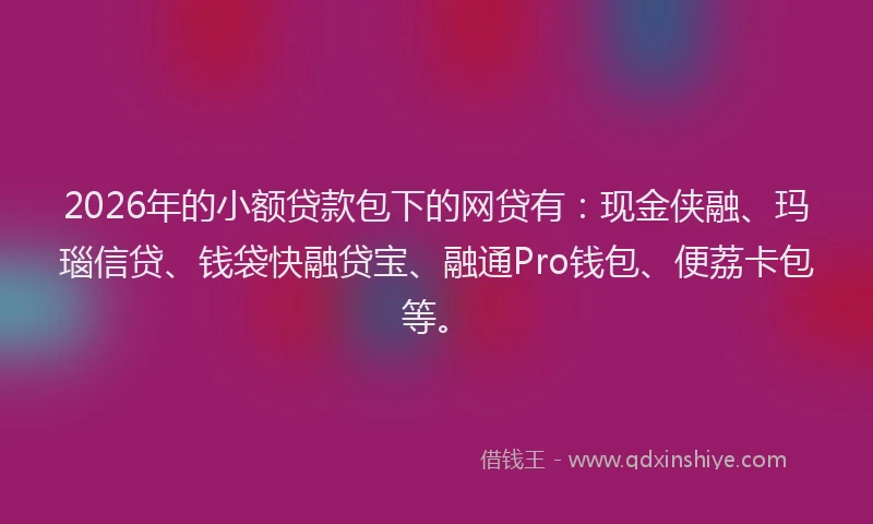 2026年的小额贷款包下的网贷有：现金侠融、玛瑙信贷、钱袋快融贷宝、融通Pro钱包、便荔卡包等。