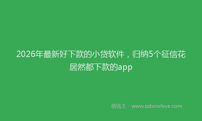 2026年最新好下款的小贷软件，归纳5个征信花居然都下款的app