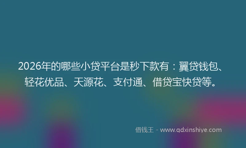 2026年的哪些小贷平台是秒下款有:翼贷钱包、轻花优品、天源花、支付通、借贷宝快贷等。