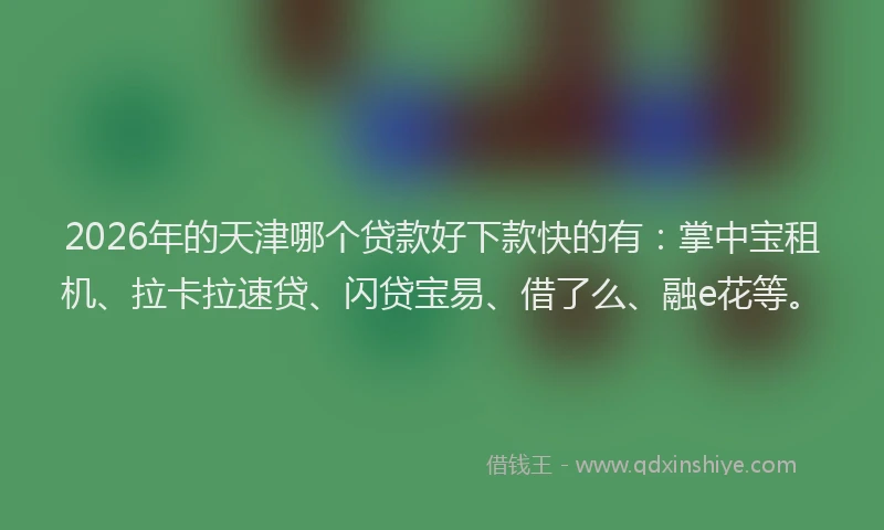 2026年的天津哪个贷款好下款快的有：掌中宝租机、拉卡拉速贷、闪贷宝易、借了么、融e花等。