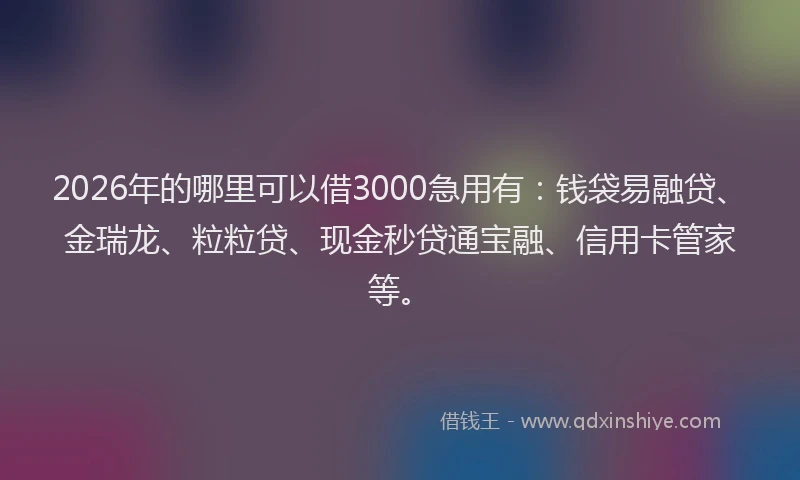 2026年的哪里可以借3000急用有：钱袋易融贷、金瑞龙、粒粒贷、现金秒贷通宝融、信用卡管家等。
