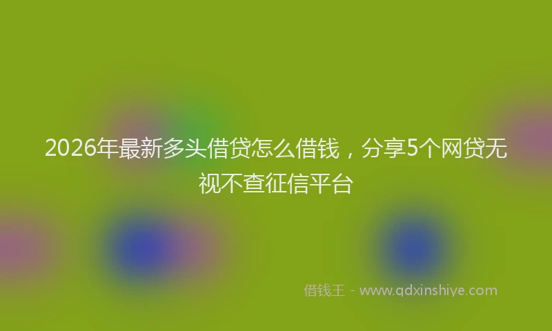 2026年最新多头借贷怎么借钱,分享5个网贷无视不查征信平台