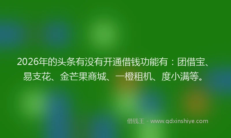 2026年的头条有没有开通借钱功能有:团借宝、易支花、金芒果商城、一橙租机、度小满等。