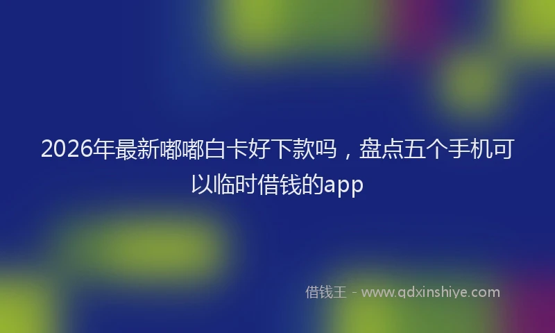 2026年最新嘟嘟白卡好下款吗，盘点五个手机可以临时借钱的app
