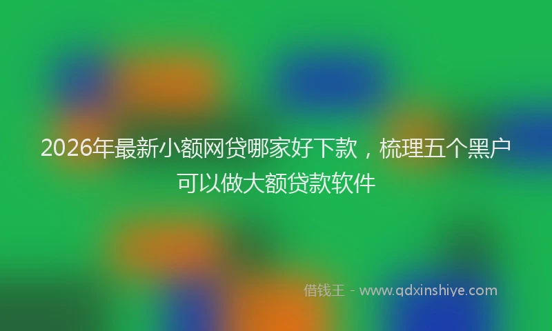 2026年最新小额网贷哪家好下款，梳理五个黑户可以做大额贷款软件