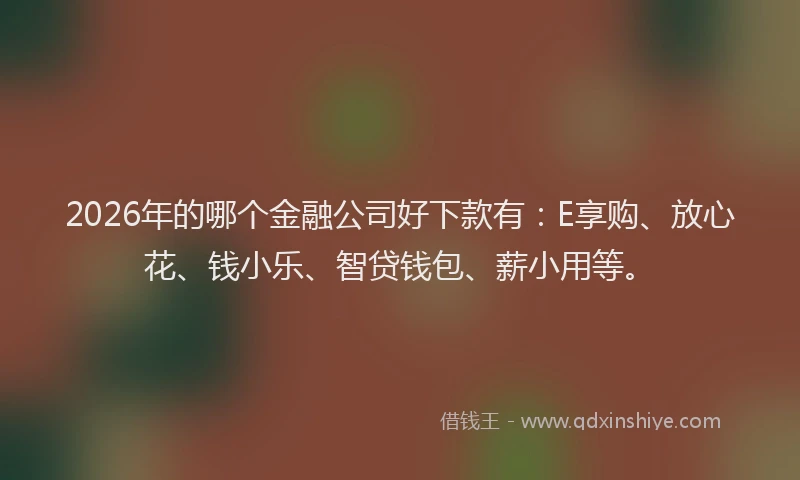 2026年的哪个金融公司好下款有:E享购、放心花、钱小乐、智贷钱包、薪小用等。