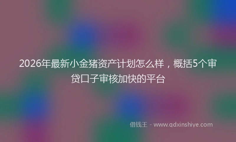 2026年最新小金猪资产计划怎么样，概括5个审贷口子审核加快的平台