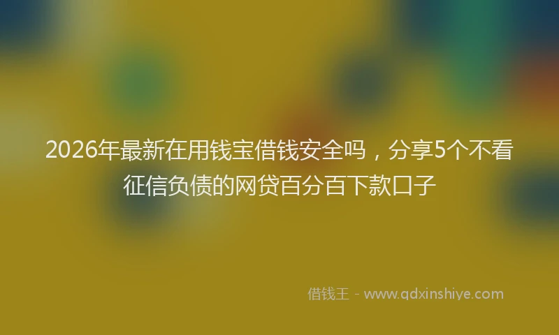 2026年最新在用钱宝借钱安全吗，分享5个不看征信负债的网贷百分百下款口子