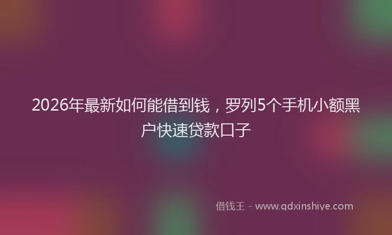 2026年最新如何能借到钱，罗列5个手机小额黑户快速贷款口子
