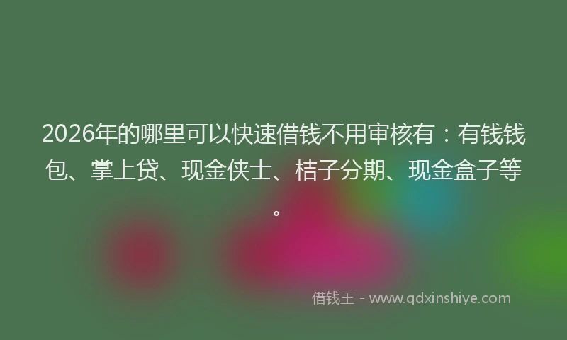 2026年的哪里可以快速借钱不用审核有：有钱钱包、掌上贷、现金侠士、桔子分期、现金盒子等。
