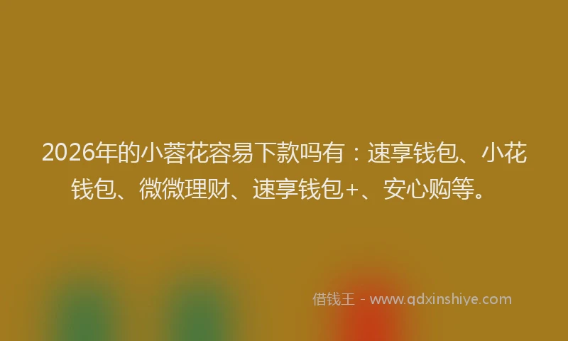 2026年的小蓉花容易下款吗有：速享钱包、小花钱包、微微理财、速享钱包+、安心购等。