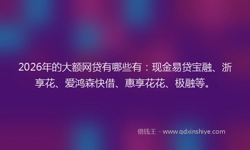 2026年的大额网贷有哪些有:现金易贷宝融、浙享花、爱鸿森快借、惠享花花、极融等。
