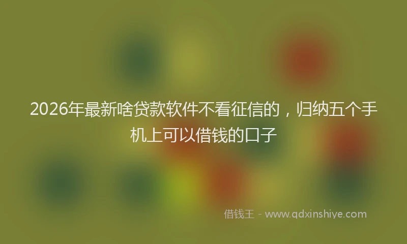 2026年最新啥贷款软件不看征信的，归纳五个手机上可以借钱的口子