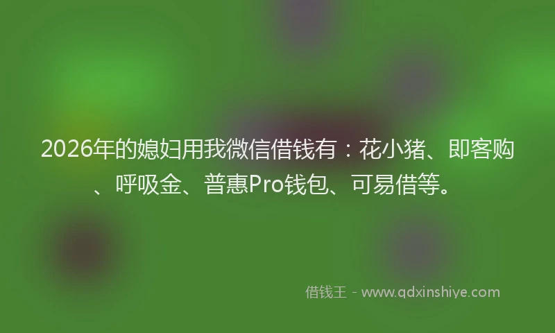 2026年的媳妇用我微信借钱有：花小猪、即客购、呼吸金、普惠Pro钱包、可易借等。