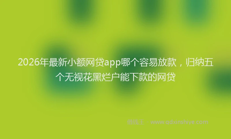 2026年最新小额网贷app哪个容易放款，归纳五个无视花黑烂户能下款的网贷