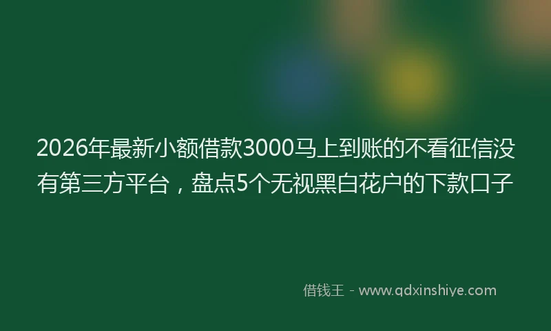 2026年最新小额借款3000马上到账的不看征信没有第三方平台，盘点5个无视黑白花户的下款口子