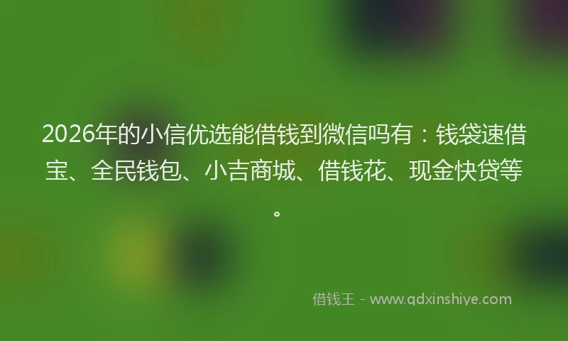 2026年的小信优选能借钱到微信吗有：钱袋速借宝、全民钱包、小吉商城、借钱花、现金快贷等。