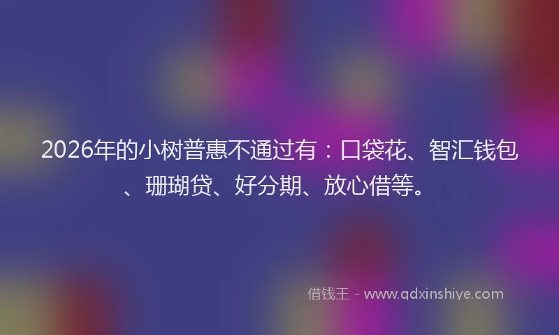 2026年的小树普惠不通过有：口袋花、智汇钱包、珊瑚贷、好分期、放心借等。